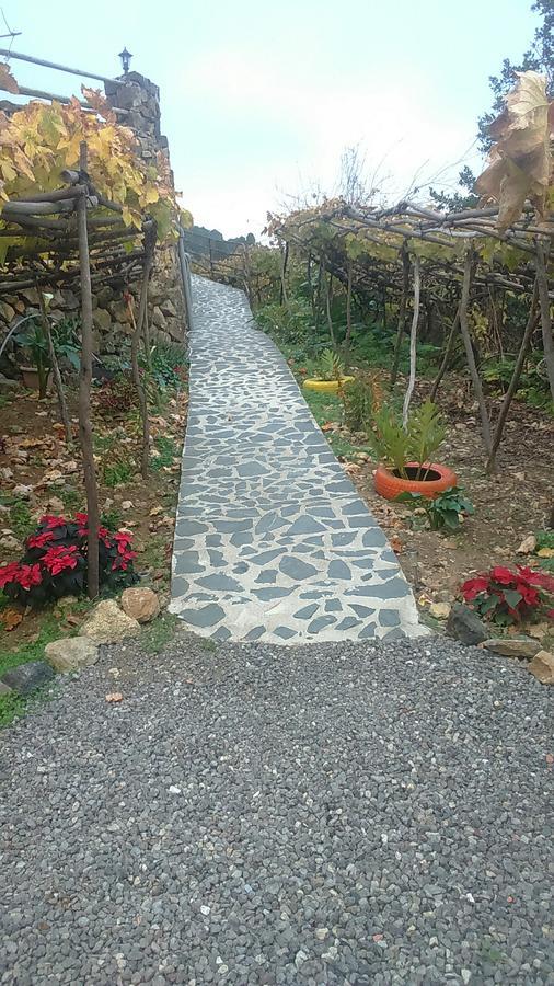 Casa Canaria La Moncloa Villa Icod De Los Vinos Ngoại thất bức ảnh