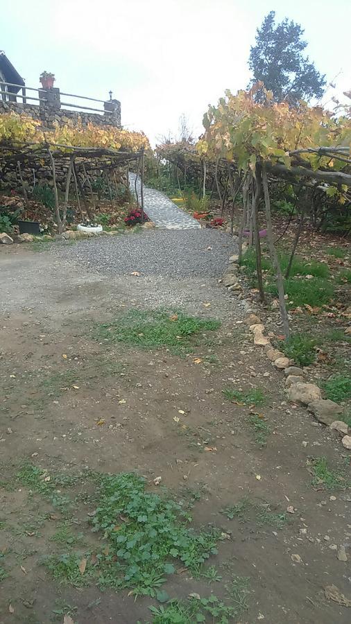 Casa Canaria La Moncloa Villa Icod De Los Vinos Ngoại thất bức ảnh